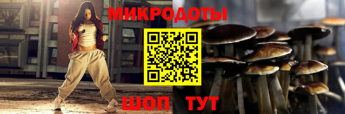 Павлово  Псилоцибиновые грибы прущие грибы  Вход с VPN 
